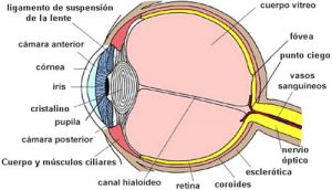 Ilustración de la importancia de la refracción