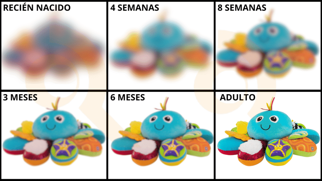 Evolución de la visión del bebé desde el nacimiento hasta los 12 meses, mostrando etapas de visión borrosa y colores